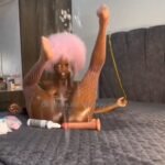 Screenshot_20260121_070340_Kiwi Browser